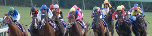 中央競馬